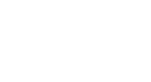 Toy Cinema Logo