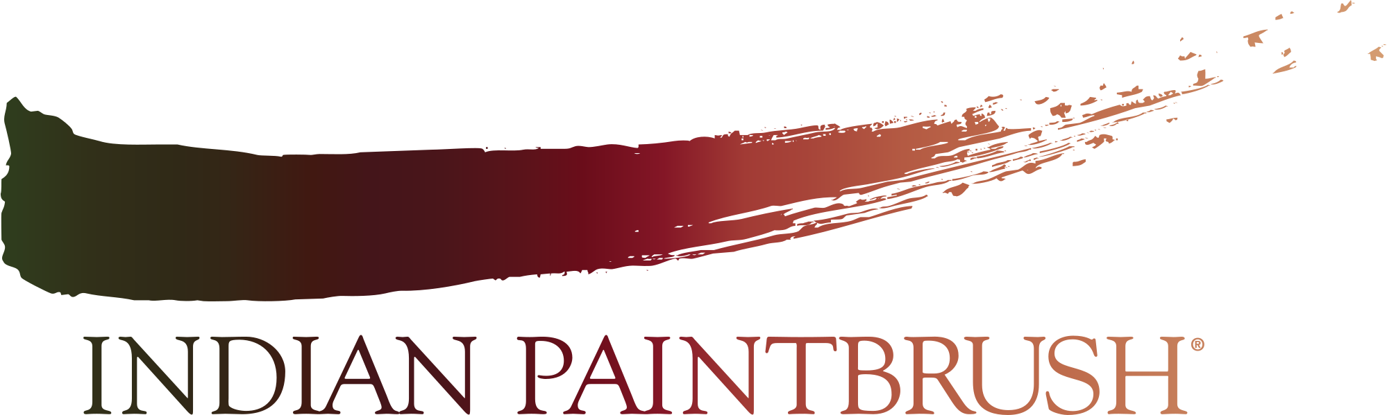 Indian Paintbrush Logo