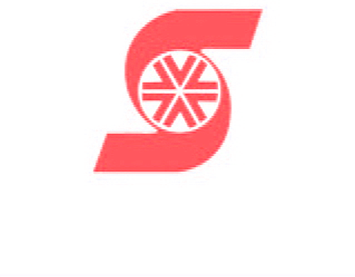 Salon Films (HK) Ltd. Logo