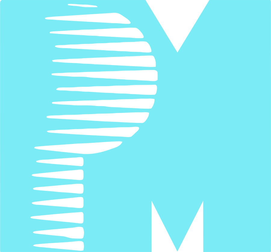 PM Entertainment Group Logo