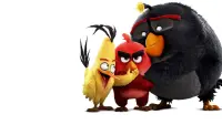 Задник до фильму"Angry Birds у кіно" #657231