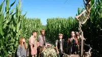 Задник до фильму"Діти кукурудзи: Генезис" #437553
