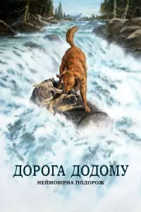 Постер до фильму"Дорога додому: Неймовірна подорож" #551435