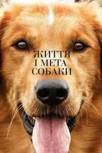 Постер до фильму"Життя і мета собаки" #41272