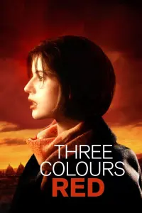 Постер до фильму"Три кольори: Червоний" #94000