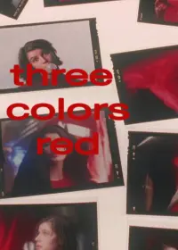 Постер до фильму"Три кольори: Червоний" #93997