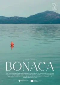 Bonaca