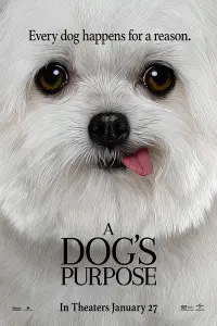 Постер до фильму"Життя і мета собаки" #41261