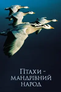 Постер до фильму"Птахи – мандрівний народ" #383836