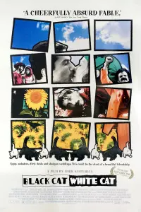 Постер до фильму"Чорна кішка, білий кіт" #201383