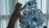 Задник до фильму"Різдво кота Боба" #351823