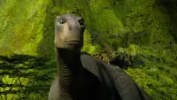 Задник до фильму"Динозавр" #282504