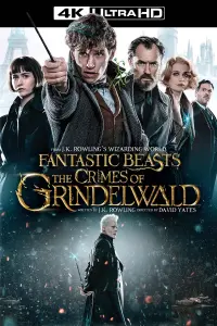 Постер до фильму"Фантастичні звірі: Злочини Ґріндельвальда" #43174
