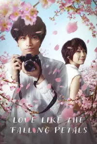 Постер до фильму"Моє кохання мов квітка сакури" #135884
