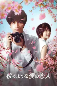 Постер до фильму"Моє кохання мов квітка сакури" #456502