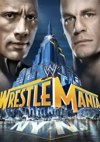 WWE WrestleMania 29