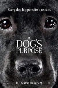 Постер до фильму"Життя і мета собаки" #41262