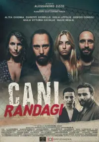 Cani randagi