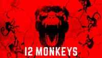Задник до фильму"12 мавп" #24311