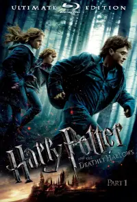 Постер до фильму"Гаррі Поттер та смертельні реліквії: Частина 1" #11504