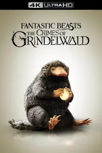 Постер до фильму"Фантастичні звірі: Злочини Ґріндельвальда" #43177