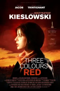 Постер до фильму"Три кольори: Червоний" #94006