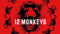 Задник до фильму"12 мавп" #24310