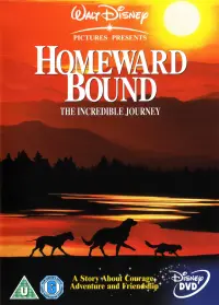 Постер до фильму"Дорога додому: Неймовірна подорож" #251071