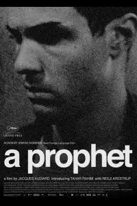 Постер до фильму"Пророк" #507747