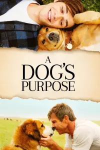 Постер до фильму"Життя і мета собаки" #41255