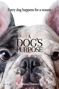 Постер до фильму"Життя і мета собаки" #41263