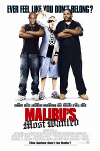 Постер до фильму"Розшукується у Малібу" #129625