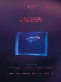 The Moon Also Rises