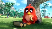 Задник до фильму"Angry Birds у кіно" #296946