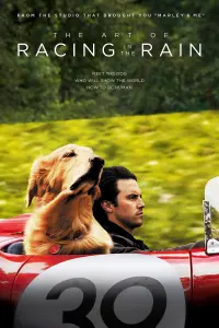 Постер до фильму"Очима собаки" #44051