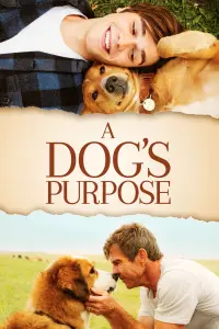 Постер до фильму"Життя і мета собаки" #41257