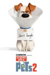 Постер до фильму"Секрети домашніх тварин 2" #32688