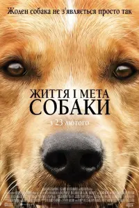 Постер до фильму"Життя і мета собаки" #41273