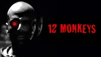 Задник до фильму"12 мавп" #24308