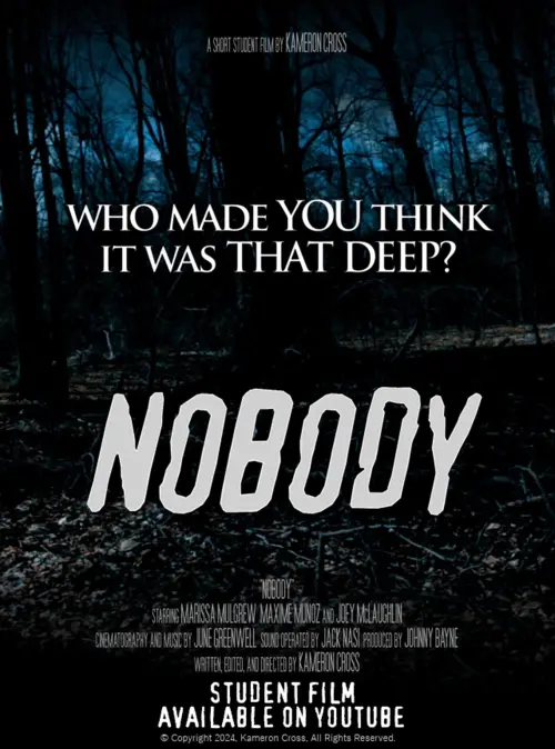 Постер до фільму "Nobody"