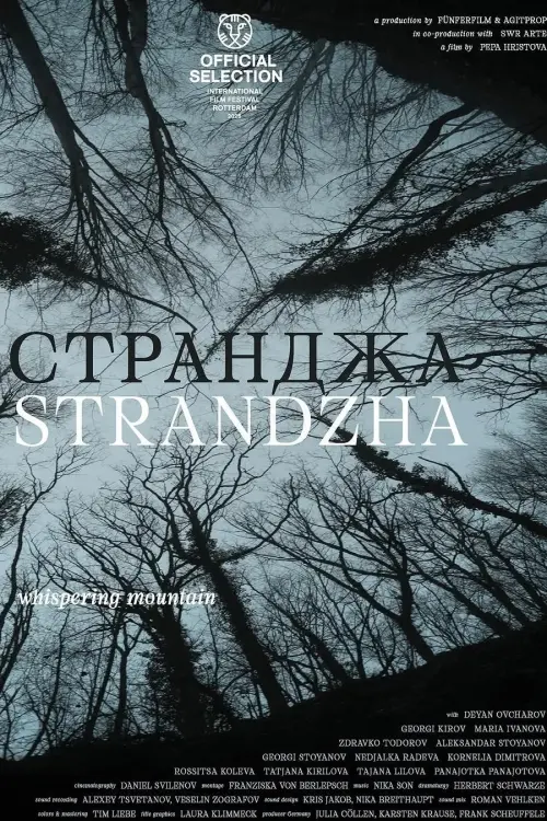 Постер до фільму "Strandzha"