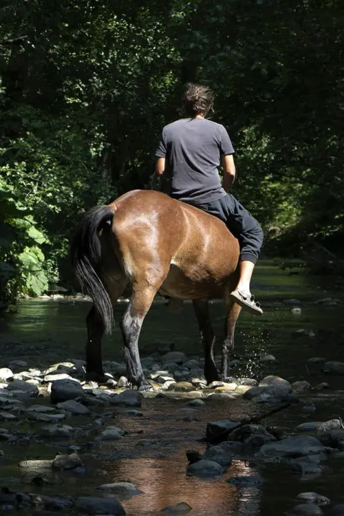 Постер до фільму "The Boy from the River Drina"