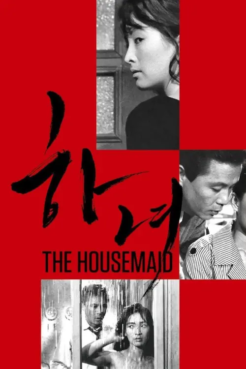 Постер до фільму "The Housemaid"