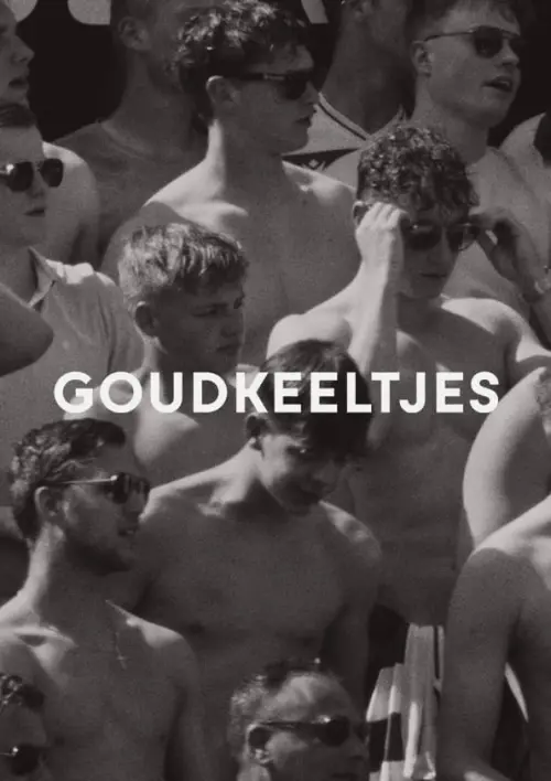 Постер до фільму "Goudkeeltjes"