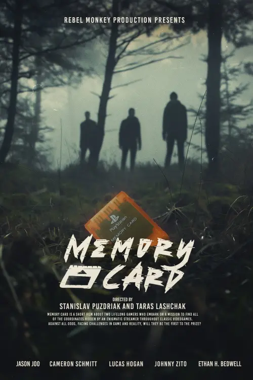 Постер до фільму "Memory Card"