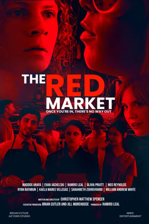 Постер до фільму "The Red Market"