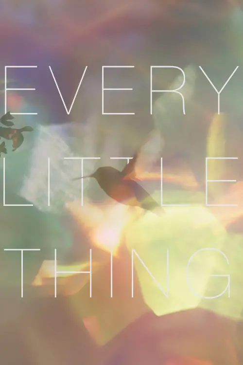 Постер до фільму "Every Little Thing"