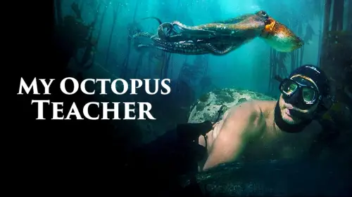 Відео до фільму Мій учитель - восьминіг | My Octopus Teacher Trailer | CPH:DOX 2020