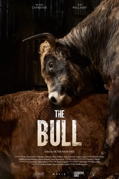 Постер до фільму "The Bull"