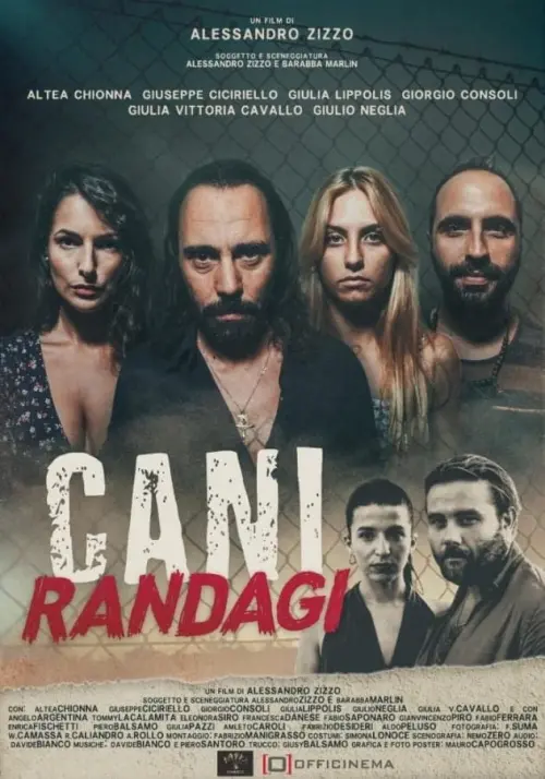 Постер до фільму "Cani randagi"